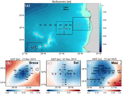 Distribution of polysaccharidic and proteinaceous gel−like particles in three cyclonic eddies in the Eastern Tropical North Atlantic